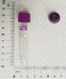 http://61.66.117.10/HTML/dept/1t24/intranet/serum/Lymphocyte%20surfacemarker-%20Infectious%20disease.files/image002.gif